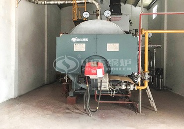 2.5 ton steam boiler price