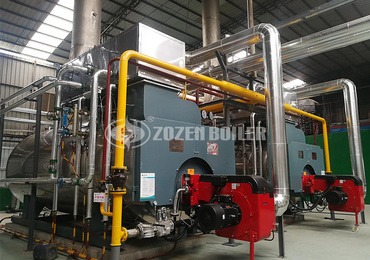 hot water boiler price in india