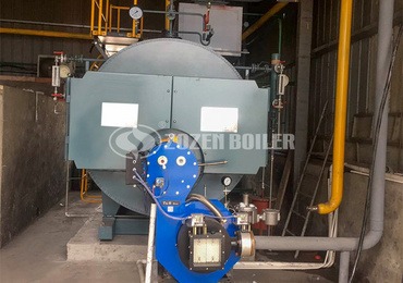 1 ton biomass boiler price trend