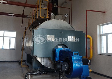vertical thermic fluid heater price