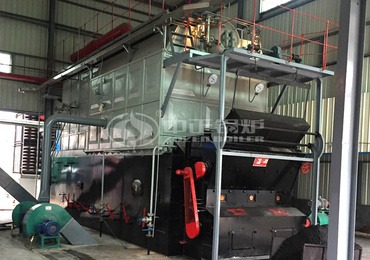 Biomass fired boiler for sale