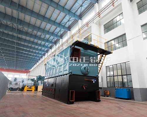 Biomass fired boiler