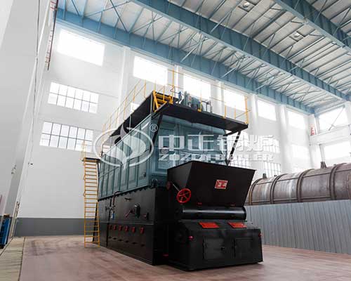 Biomass fired boiler supplier