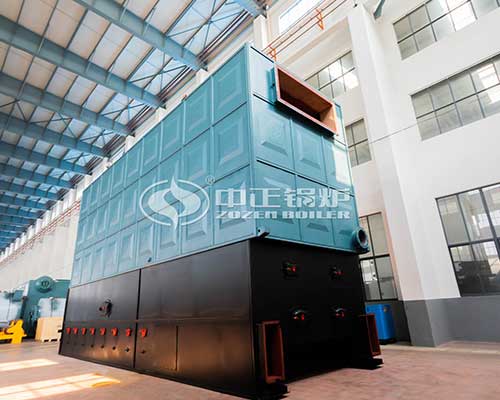 Biomass fired thermal oil boiler