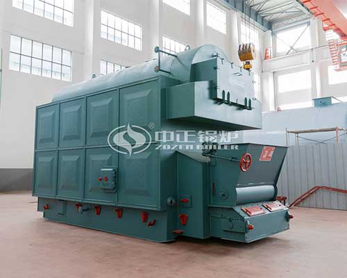 Biomass steam boilers supply