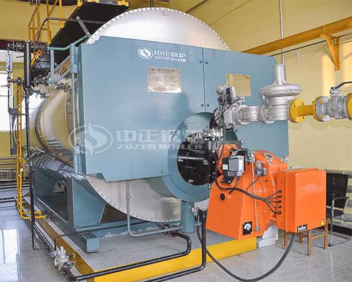 Gas steam boiler feature