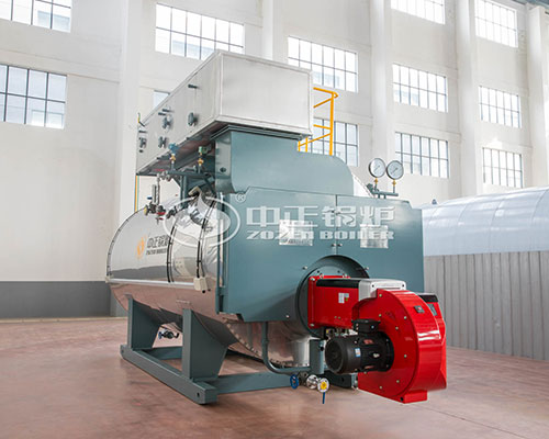 Gas fired boiler