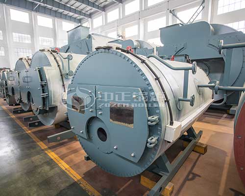 Automatic gas steam boilers