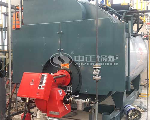 LPG steam boilers manufacturing