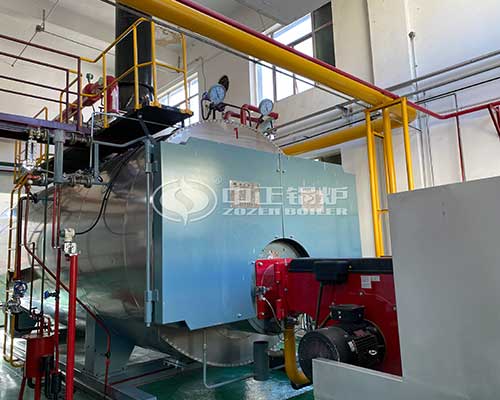 Gas steam boilers application