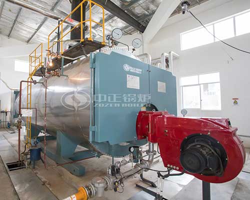 Gas fired steam boiler priced