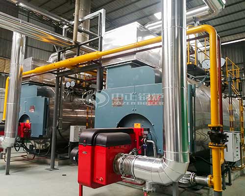Gas fired steam boiler export