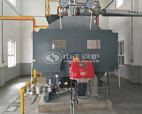 Gas fired hot water boiler supply