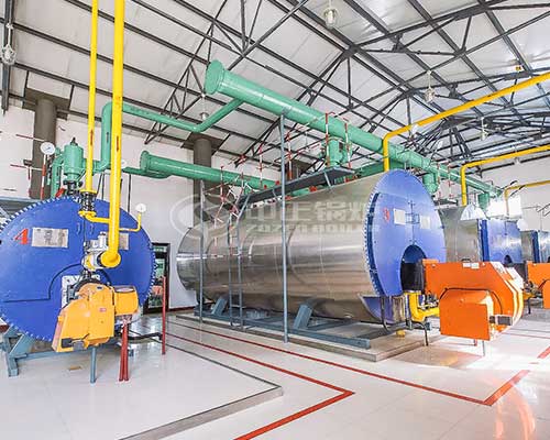 Gas steam boiler application
