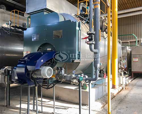 Industrial WNS series boiler sales