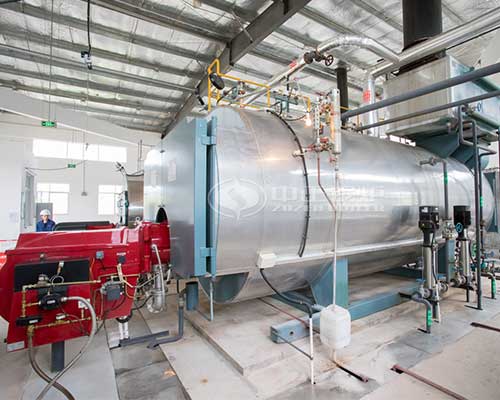 Gas steam boilers supplier