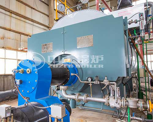 Gas steam boilers