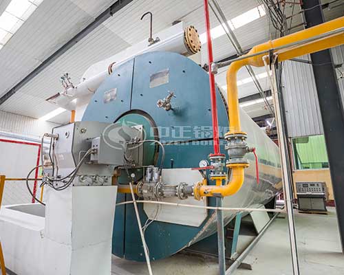 Oil fired thermal oil boilers