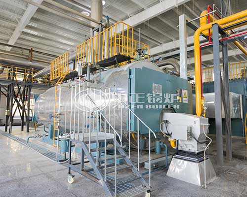 WNS series gas fired boiler