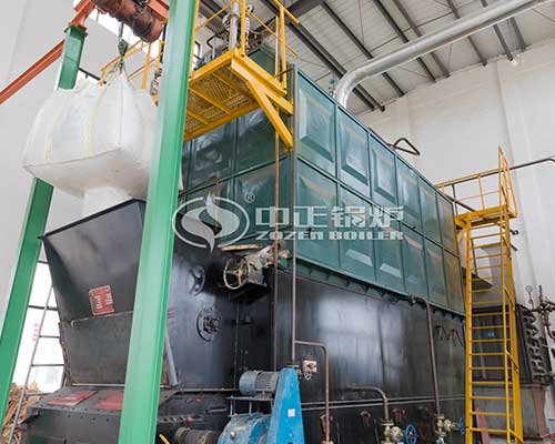 Chain grate biomass boiler