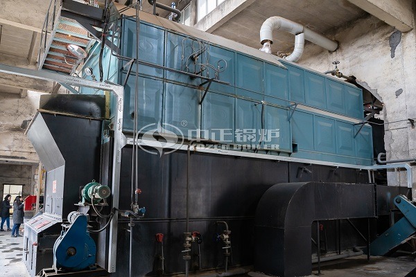 Chain grate steam boiler