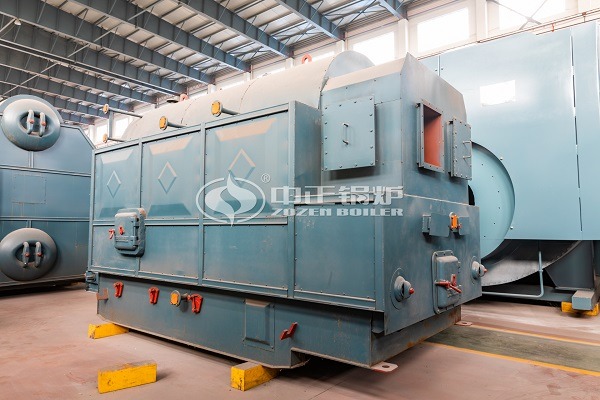 Coal-fired steam boiler