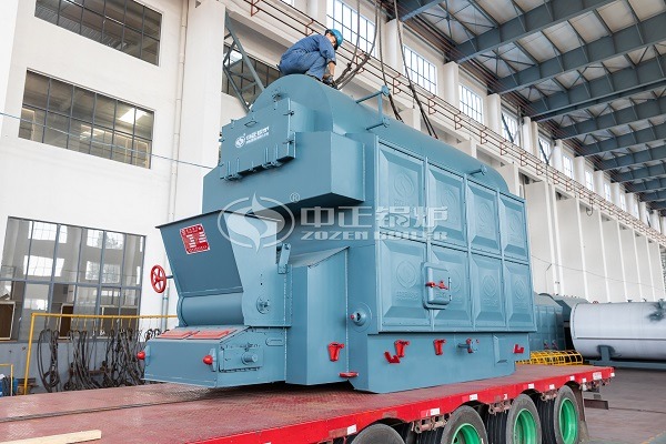 Coal fuel steam boiler