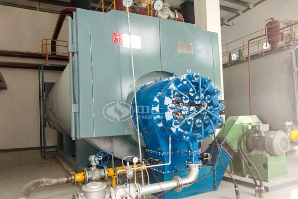 Gas fired hot water boiler