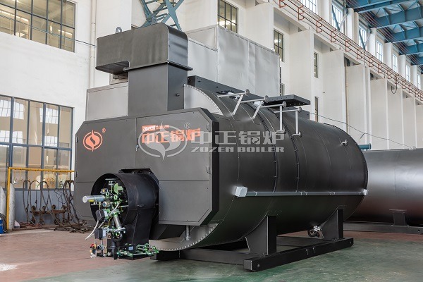 Gas fired boiler parameters