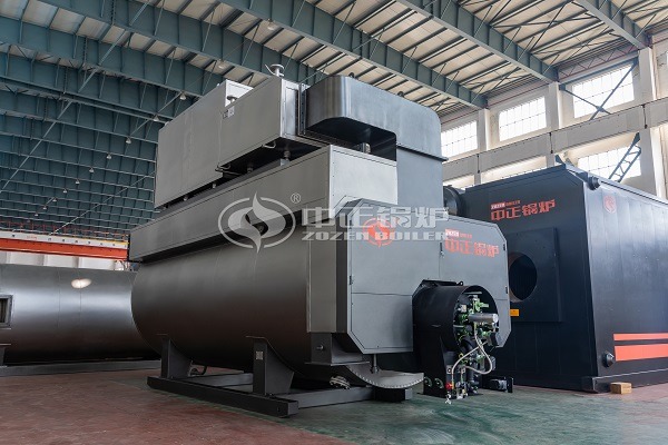 6 Tons gas steam boiler