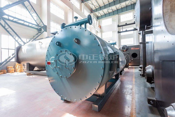 Gas-fired thermal oil boiler