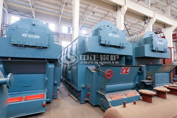 Horizontal biomass steam boiler