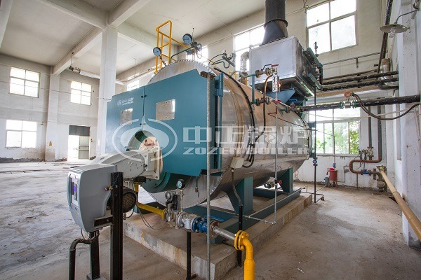 Diesel fired steam boiler