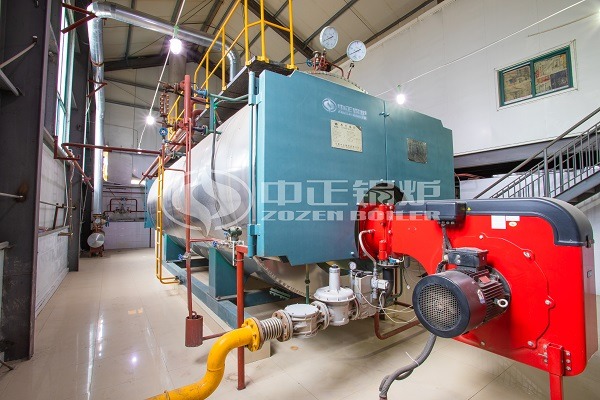 WNS series gas fired boiler