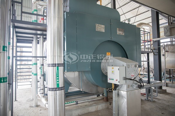 Natural gas steam boiler