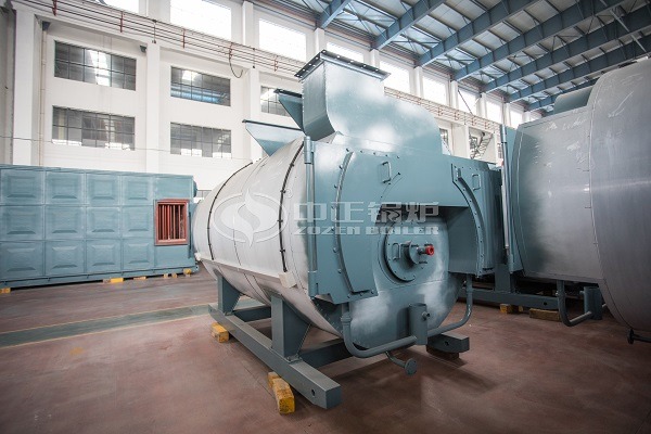 WNS series hot water boiler