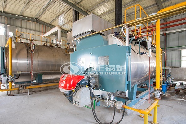 15 Ton oil fired boiler