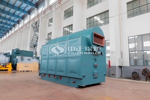 DZL series boiler