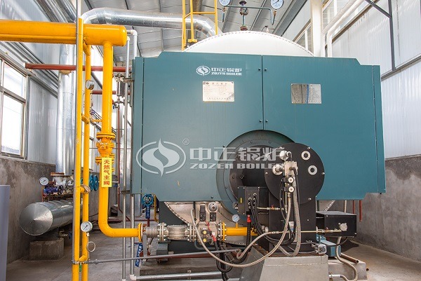 WNS type boiler