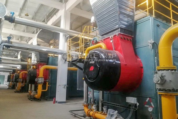 SZS series gas boilers