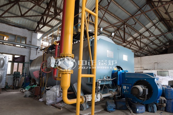 2tph biogas fired boiler
