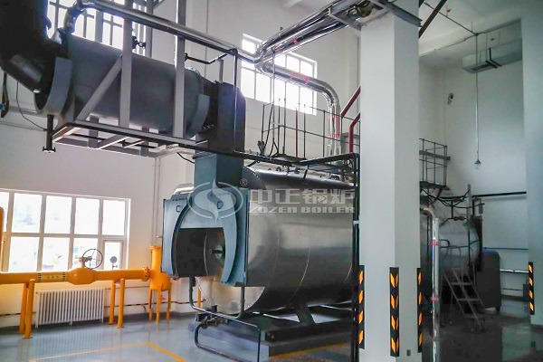 Biogas steam boiler