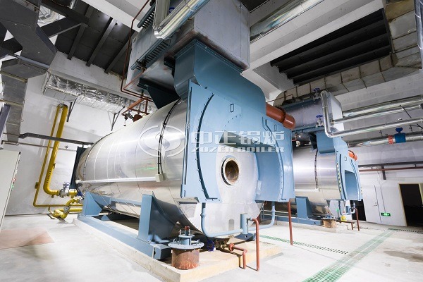 Natural gas steam boiler