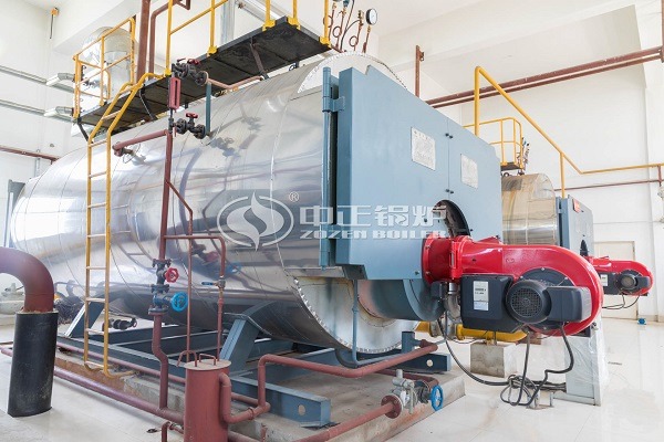 WNS series boiler