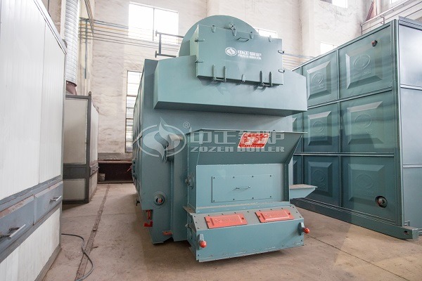 10 Ton biomass boiler