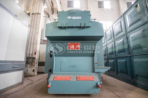 Chain grate biomass boiler