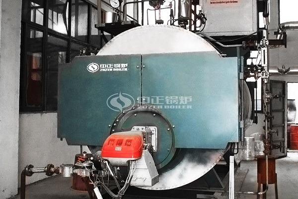 WNS 4 tons gas boiler