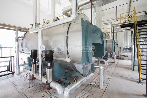 3ton gas steam boiler