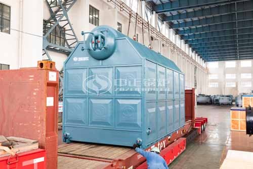 Paddy Rice Steam Boiler