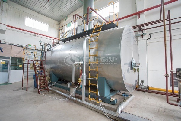 WNS 4 ton Natural Gas Steam Boiler